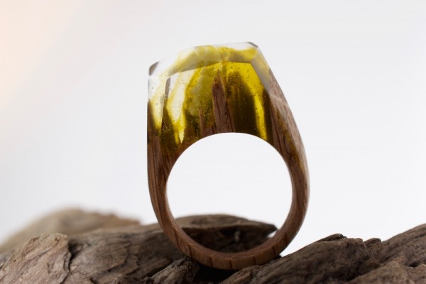 secret wood ring 1