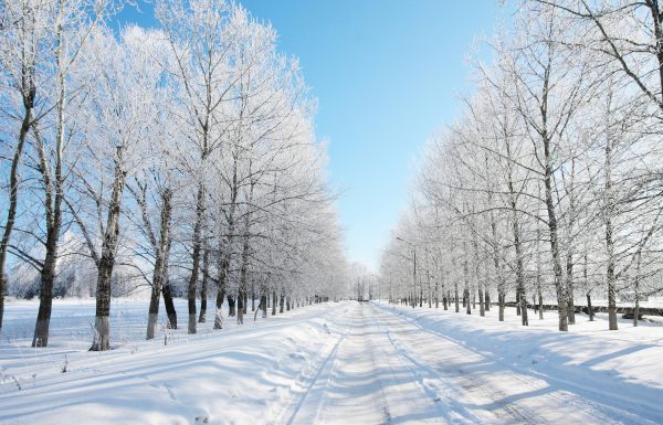 winter-countries-4