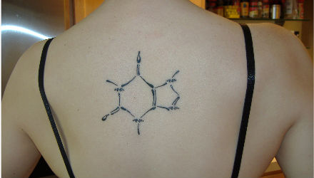 The Companion Molecule